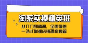 淘系实操精英班：从入门到精通，全面覆盖，一站式掌握店铺盈利秘籍-副业吧