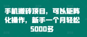 手机搬砖项目，可以矩阵化操作，新手一个月轻松5000多-副业吧