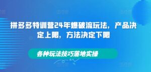 拼多多特训营24年爆破流玩法，产品决定上限，方法决定下限，各种玩法技巧落地实操-副业吧