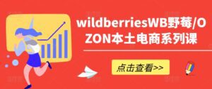 wildberriesWB野莓/OZON本土电商系列课,掌握WB产品优化,出单技巧和订单处理等-副业吧