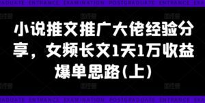 小说推文推广大佬经验分享，女频长文1天1万收益爆单思路(上)-副业吧