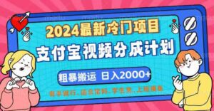 （12407期）2024最新冷门项目！支付宝视频分成计划，直接粗暴搬运，日入2000+，有…-副业吧