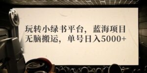 （12366期）玩转小绿书平台，蓝海项目，无脑搬运，单号日入5000+-副业吧
