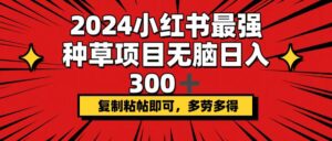 (12336期)2024小红书最强种草项目,无脑日入300+,复制粘帖即可,多劳多得-副业吧