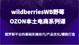 wildberriesWB野莓/OZON本土电商系列课，俄罗斯平台的基础实操技巧/产品优化/爆款打造-副业吧