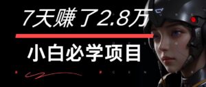 7天赚了2.8万！每单利润最少500+，轻松月入7万+小白有手就行-副业吧