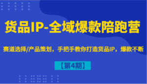货品IP-全域爆款陪跑营【第4期】赛道选择/产品策划,手把手教你打造货品IP,爆款不断-副业吧