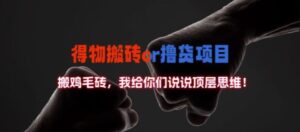 得物搬砖撸货项目?掰下数据，我给你们说说顶层思维-副业吧