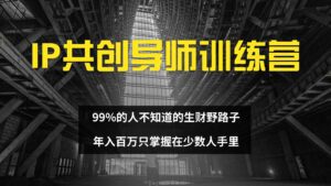（12504期）IP共创导师训练营 99%的人不知道的生财野路子 只掌握在少数人手里-副业吧