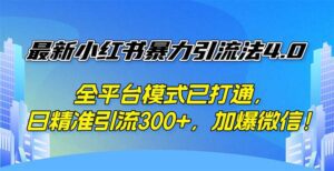 （12505期）最新小红书暴力引流法4.0， 全平台模式已打通，日精准引流300+，加爆微…-副业吧