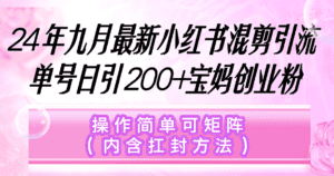 （12530期）小红书混剪引流，单号日引200+宝妈创业粉，操作简单可矩阵（内含扛封…-副业吧