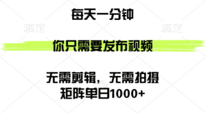（12538期）矩阵单日1000+，你只需要发布视频，用时一分钟，无需剪辑，无需拍摄-副业吧