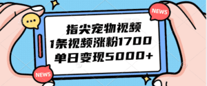 （12549期）指尖宠物视频，1条视频涨粉1700，单日变现5000+-副业吧