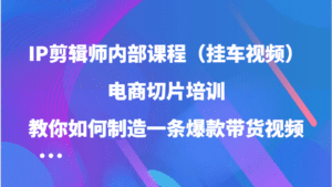 IP剪辑师内部课程（挂车视频），电商切片培训，教你如何制造一条爆款带货视频-副业吧