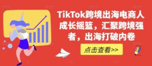 TikTok跨境出海电商人成长摇篮，汇聚跨境强者，出海打破内卷-副业吧