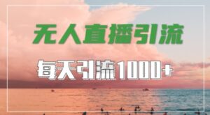 抖音快手视频号全平台通用，无人直播引流法，超暴力引流1000+高质量精准创业粉-副业吧