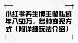 (12619期)小红书养生博主做私域年入50万,多种变现方式(附详细玩法介绍)-副业吧