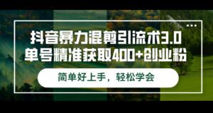 (12630期)抖音暴力混剪引流术3.0单号精准获取400+创业粉简单好上手,轻松学会-副业吧