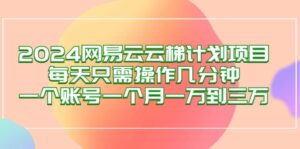 （12675期）2024网易云梯计划项目，每天只需操作几分钟 一个账号一个月一万到三万-副业吧