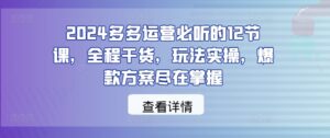 2024多多运营必听的12节课，全程干货，玩法实操，爆款方案尽在掌握-副业吧
