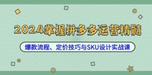 （12703期）2024掌握拼多多运营精髓：爆款流程、定价技巧与SKU设计实战课-副业吧