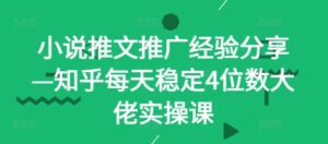 小说推文推广经验分享—知乎每天稳定4位数大佬实操课-副业吧