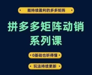 拼多多矩阵动销系列课，能持续盈利的多多矩阵，0基础也听得懂，玩法持续更新-副业吧