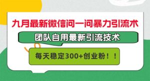 （12735期）九月最新微信问一问暴力引流术，团队自用引流术，每天稳定300+创…-副业吧