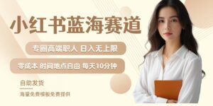 小红书蓝海赛道，圈中高端职场人，月入无上限，可矩阵，内含私域实操教程!-副业吧