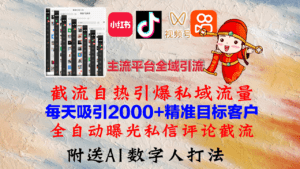 （12786期）小红书，抖音，视频号，快手主流平台全域引流，截流自热引爆私域流量，…-副业吧