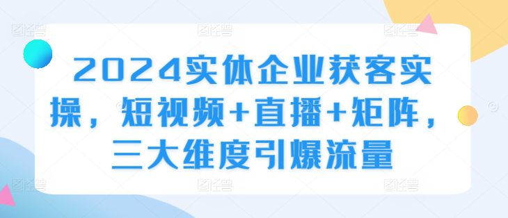 2024实体企业获客实操，短视频+直播+矩阵，三大维度引爆流量-副业吧