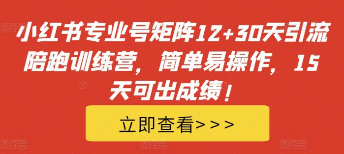 小红书专业号矩阵12+30天引流陪跑训练营,简单易操作,15天可出成绩!-副业吧