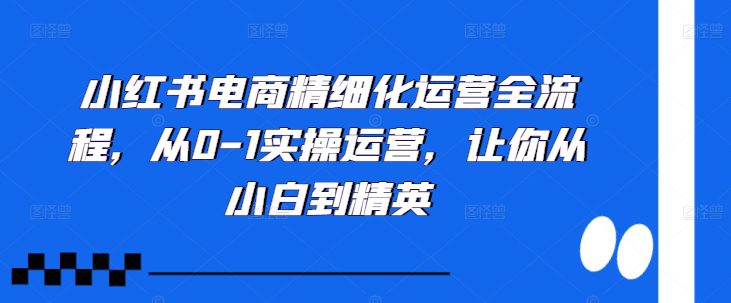 小红书电商精细化运营全流程,从0-1实操运营,让你从小白到精英-副业吧
