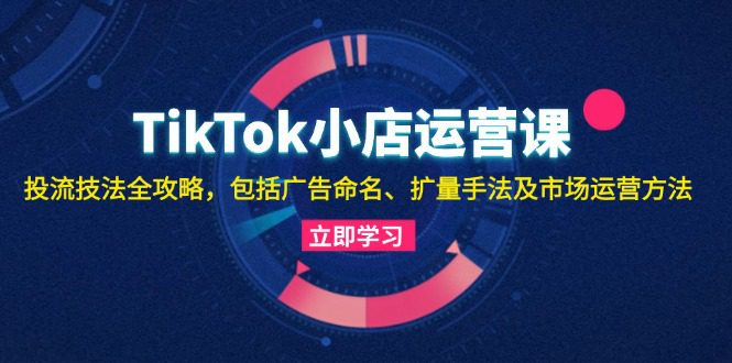 （13063期）TikTok小店运营课：投流技法全攻略，包括广告命名 扩量手法及市场运营方法-副业吧