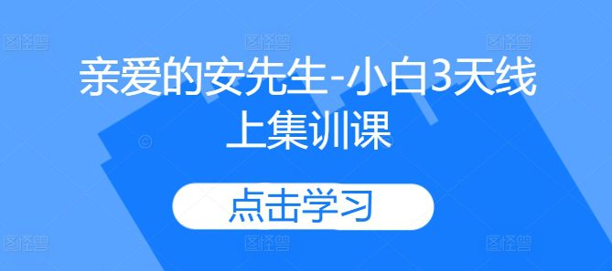 亲爱的安先生-小白3天线上集训课-副业吧