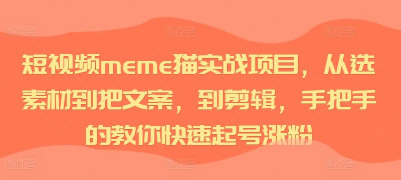 短视频meme猫实战项目，从选素材到把文案，到剪辑，手把手的教你快速起号涨粉-副业吧