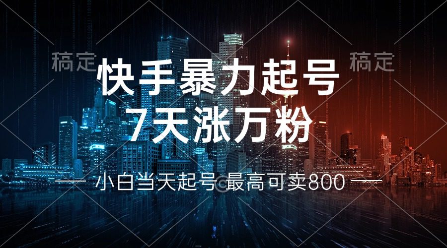 (13142期)快手暴力起号,7天涨万粉,小白当天起号 多种变现方式,账号回收,单月…-副业吧