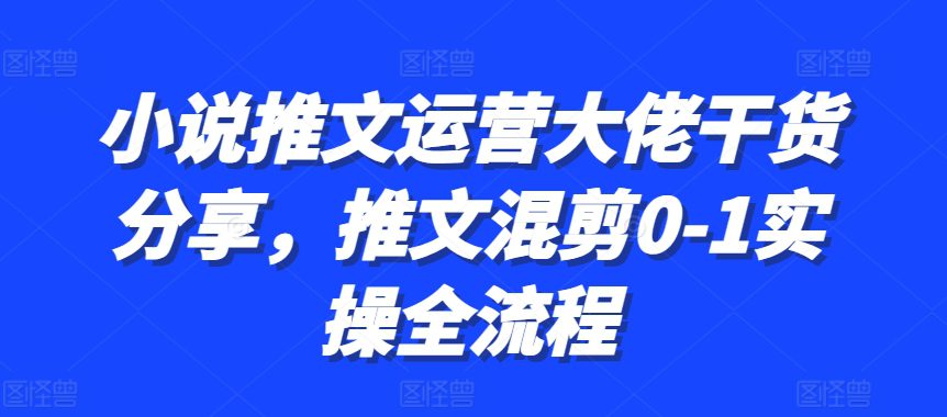 小说推文运营大佬干货分享，推文混剪0-1实操全流程-副业吧