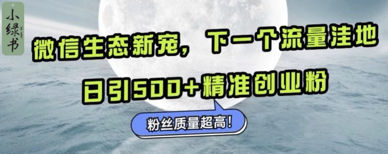 微信生态新宠小绿书：下一个流量洼地，日引500+精准创业粉，粉丝质量超高-副业吧