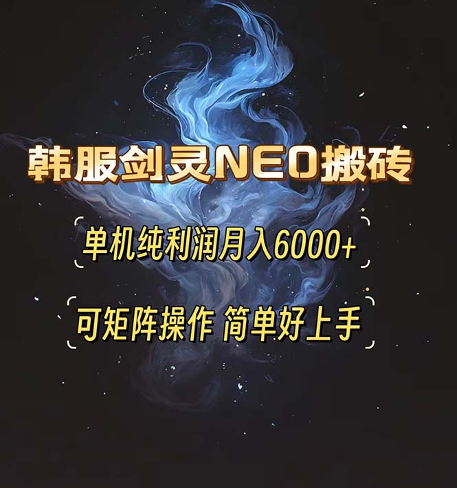 （13435期）韩服剑灵NEO搬砖攻略，单机纯利润月入6000+ 可矩阵操作，简单好上手。-副业吧