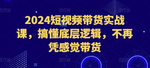 2024短视频带货实战课，搞懂底层逻辑，不再凭感觉带货-副业吧