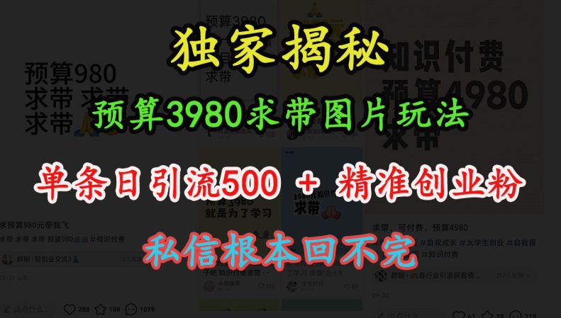 预算3980求带 图片玩法，单条日引流500+精准创业粉，私信根本回不完-副业吧