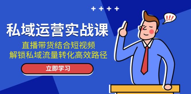 （13587期）私域运营实战课：直播带货结合短视频，解锁私域流量转化高效路径-副业吧