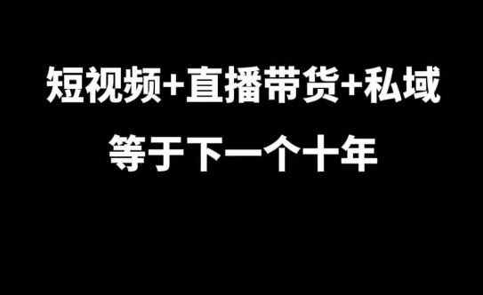 短视频+直播带货+私域等于下一个十年,大佬7年实战经验总结-副业吧
