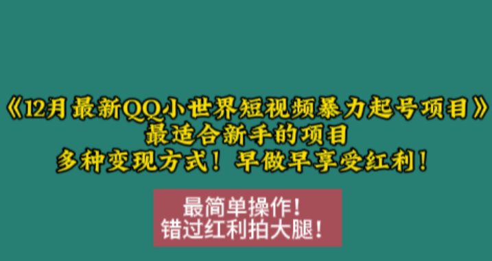 12月最新QQ小世界短视频暴力起号项目，最适合新手的项目，多种变现方式-副业吧