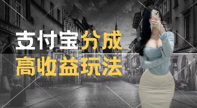 支付宝分成计划新玩法,利用交通事故视频,赚收益,轻松月入过W,操作简单-副业吧