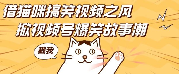 借猫咪搞笑视频之风，掀视频号爆笑故事潮，轻松日入四位数，无门槛快速入门!-副业吧