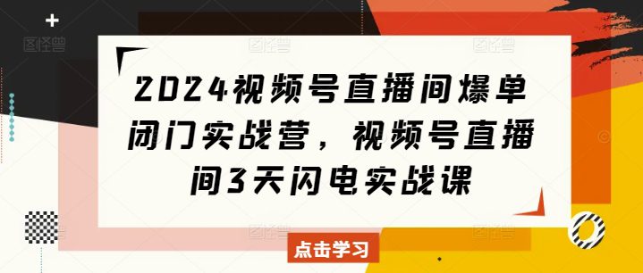 2024视频号直播间爆单闭门实战营，视频号直播间3天闪电实战课-副业吧