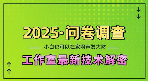 2025问卷调查最新工作室技术解密：一个人在家也可以闷声发大财，小白一天2张，可矩阵放大-副业吧