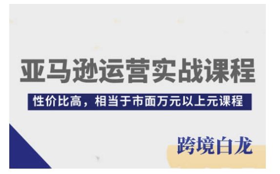 亚马逊运营实战课程，亚马逊从入门到精通，性价比高，相当于市面万元以上元课程-副业吧